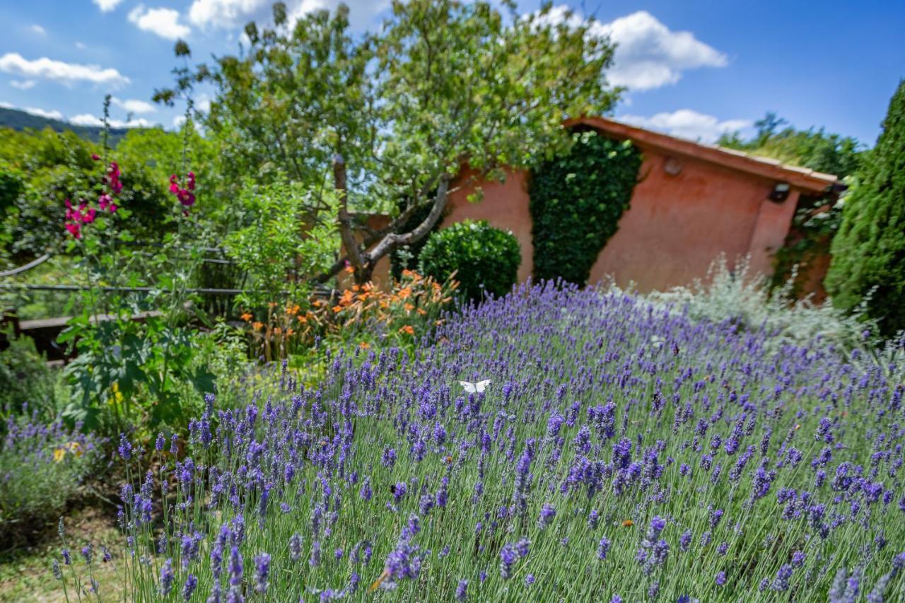 Casa Rosa Guest House Santa Maria Lignano Екстериор снимка